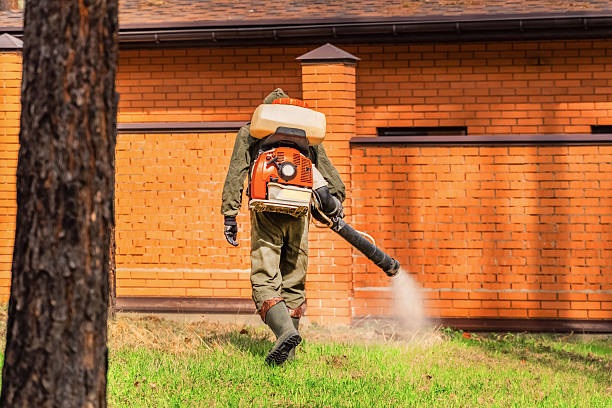 Trusted Rodent Control service in Duluth, GA - Nex Pest Control